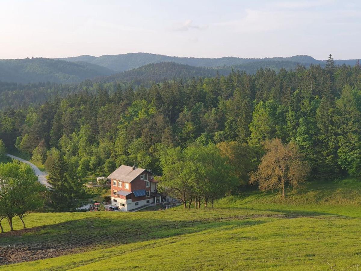 Ferienwohnung Apartma Narava Begunje pri Cerknici Exterior foto