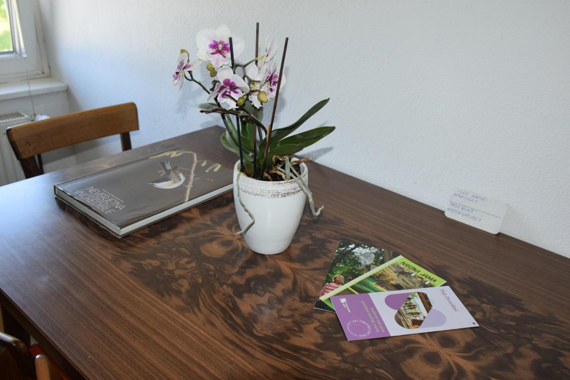Apartma Narava Begunje pri Cerknici Zimmer foto